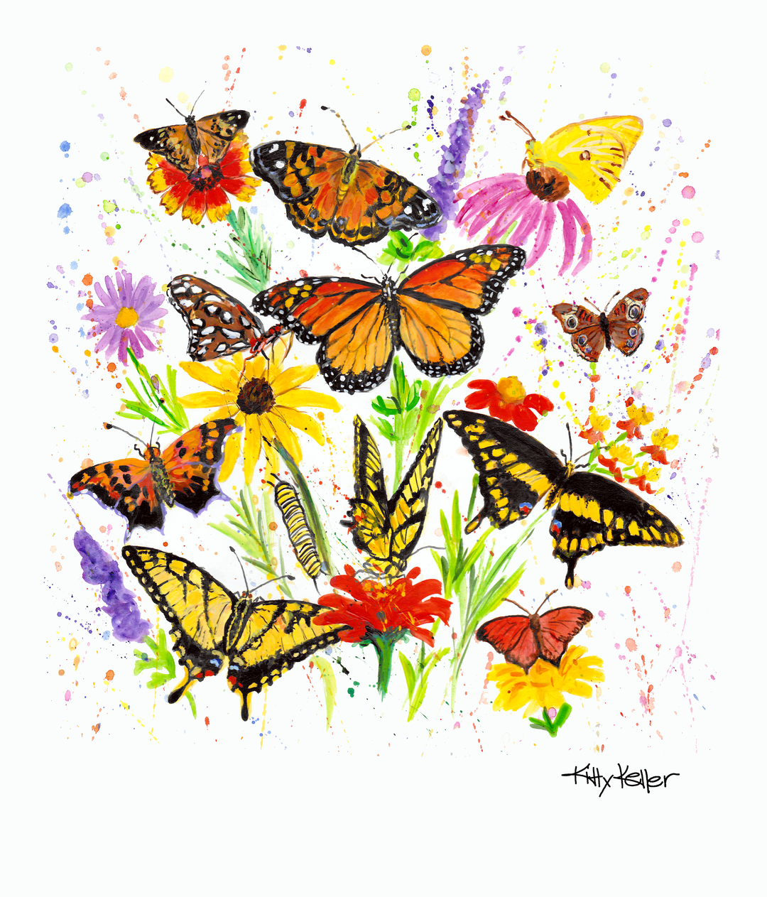 Beautiful Butterflies Giclee Print
