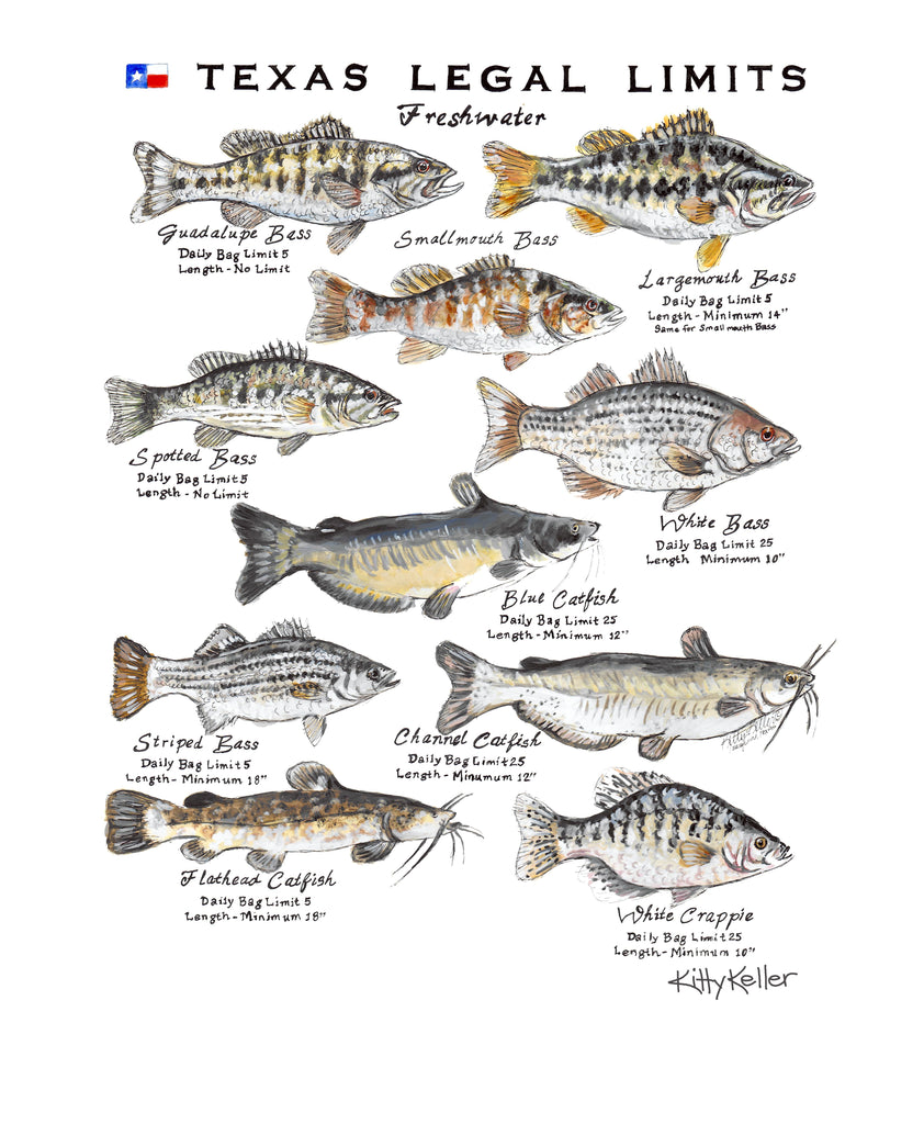 Texas Legal Limits Freshwater Giclee Print – Kitty Keller Designs