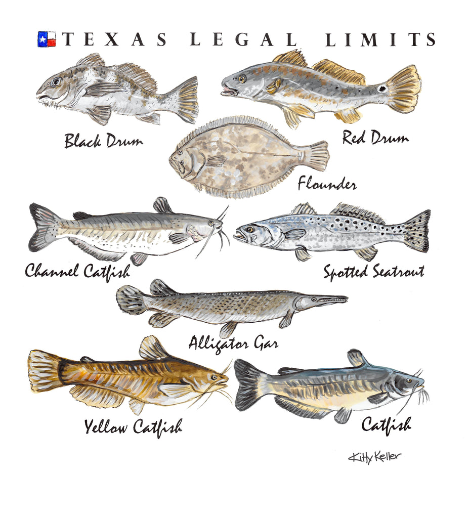 Texas Legal Limits Saltwater Giclee Print