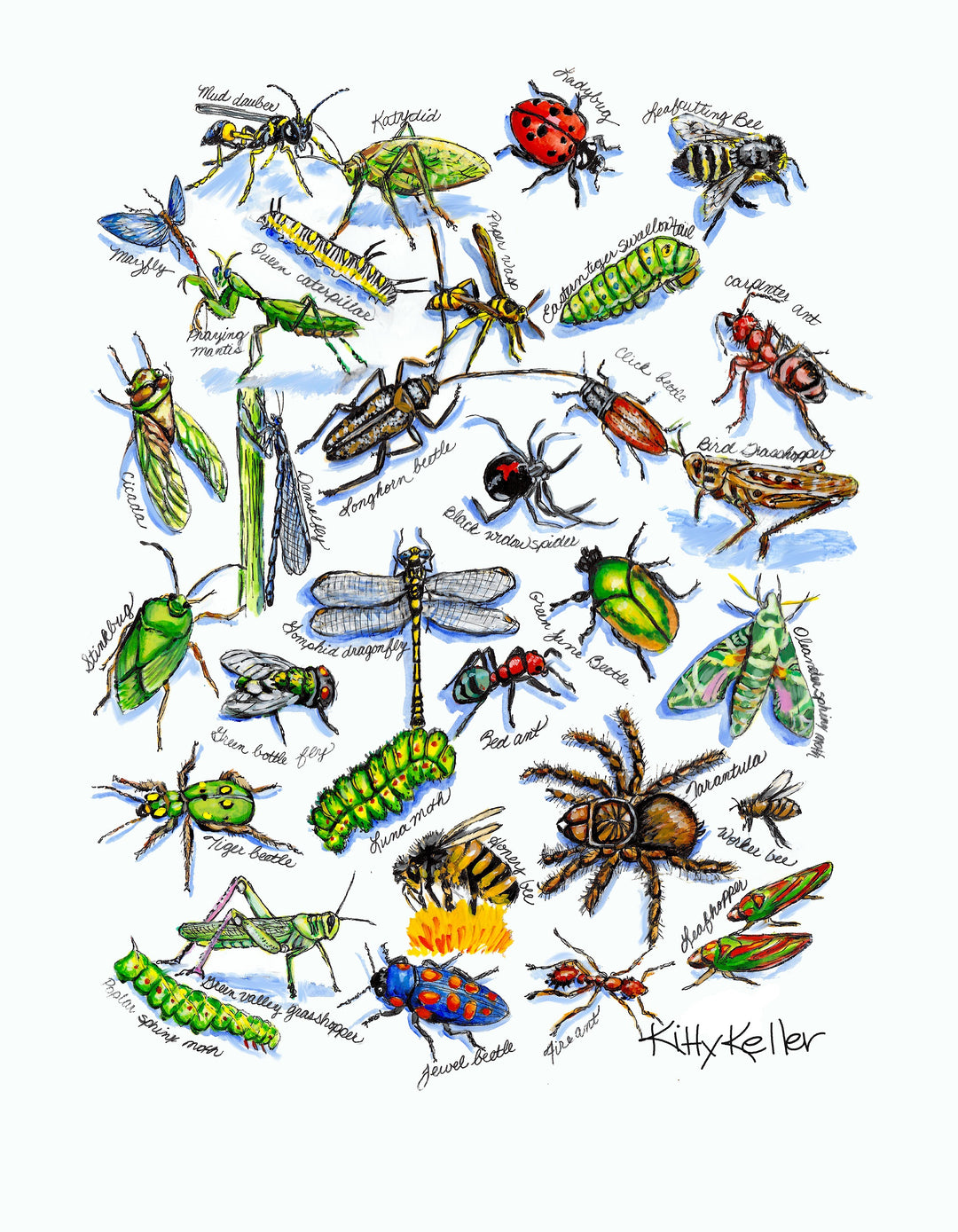 Bugs Giclee Print