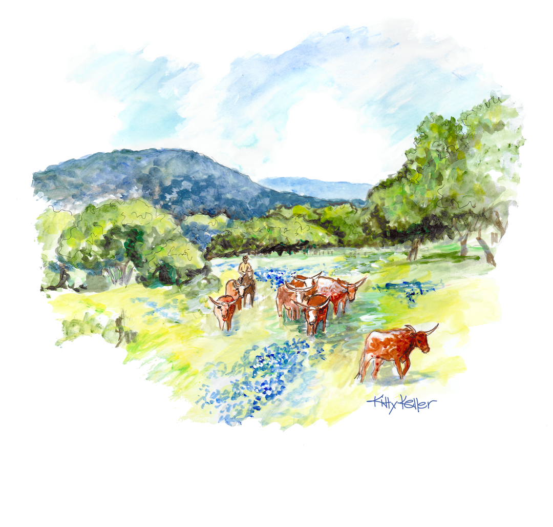 Texas Hill Country Giclee Print