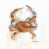 Blue Crab Giclee Print