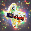 Texas Shape with Houston and Icons