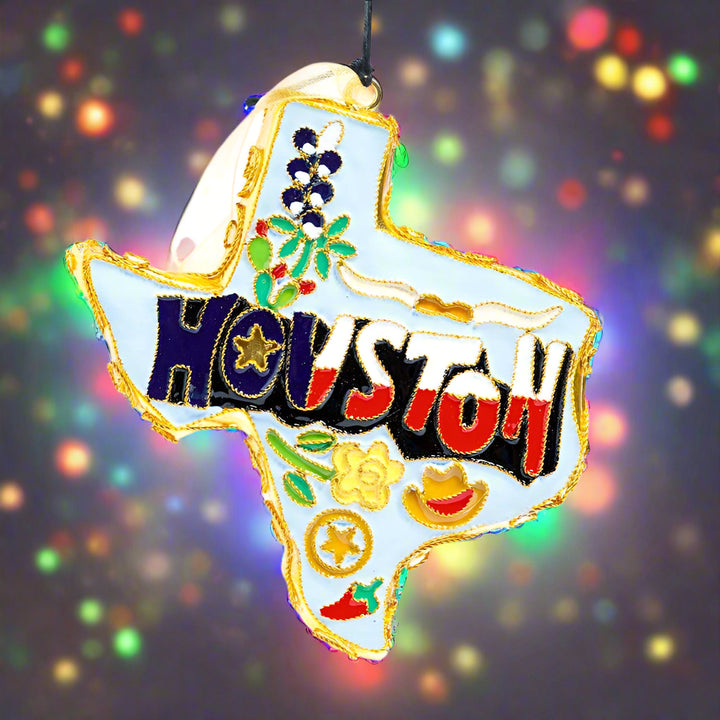 Texas Shape with Houston and Icons